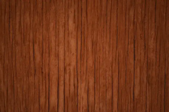 Bone inlay, cane, brass and upholstery detailing on solid wood