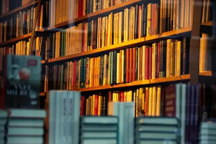 Sheesham bookshelf