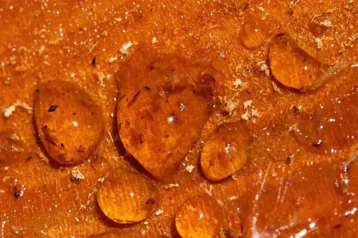 Resin dining table